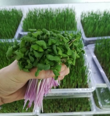 Od dopunske djelatnosti do ozbiljnog biznisa