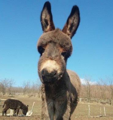 Otpad pretvorili u novi proizvod