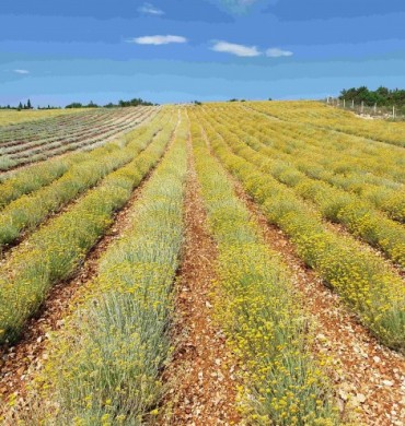 Otpad postao energent 