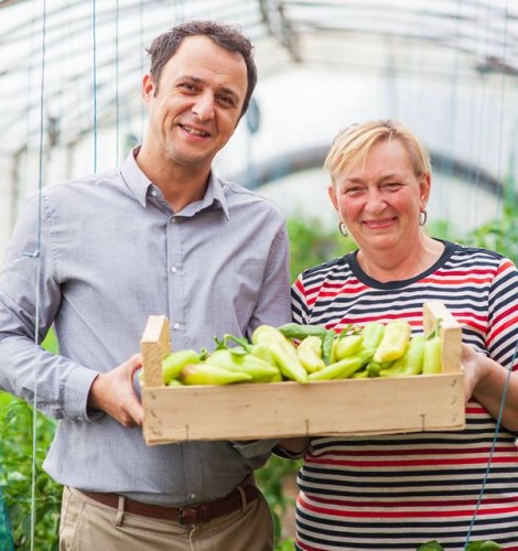 Innovative solutions for sales of the  local products 