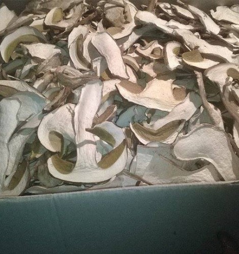 Nova linija povećala proizvodnju i izvoz