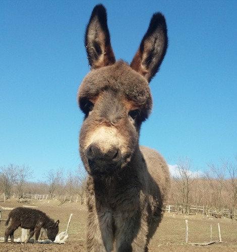Otpad pretvorili u novi proizvod